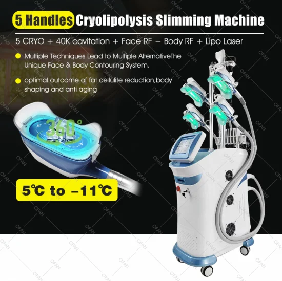 Dispositivo di raffreddamento Ofan Slim Facial Therapy Cryo Lipolaser Cavitazione RF Macchina per criolipolisi sotto vuoto in vendita