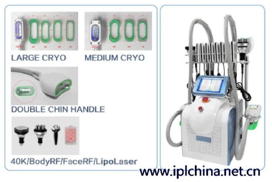 Vendita calda 3 Cryolipolysis 360 Cups Doppio mento Multifunzione Bellezza Attrezzatura dimagrante portatile Cavitazione 5 in 1