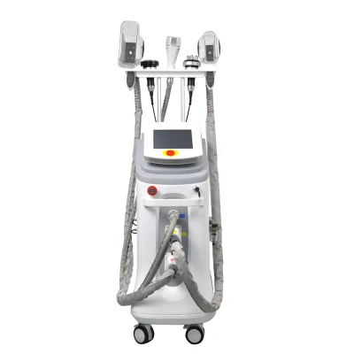 Multifunzione Cryo Cavitation RF Vertical 5 Maniglie Cool Body Shaping Cryolipolysis Grasso congelamento dimagrante